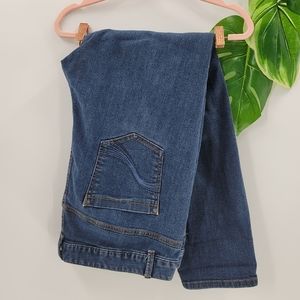 Lane Bryant Jeggings Genius Fit Jeans